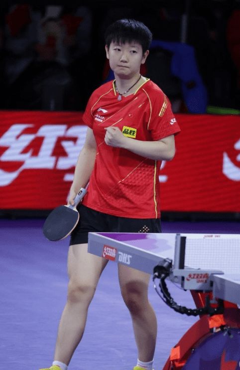 与观赛提示 与观赛提示