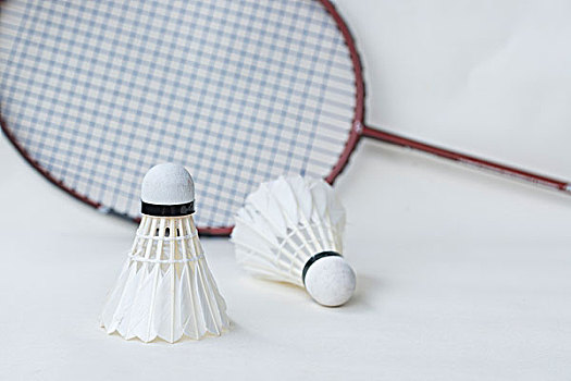 个小时即可 个小时即可